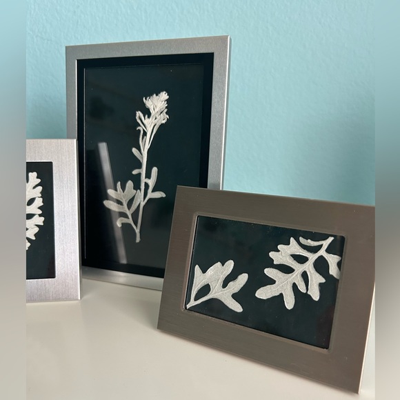 Handmade Home Décor- Pressed Dusty Miller in Silver Frames (Set of 4) - Picture 8 of 11